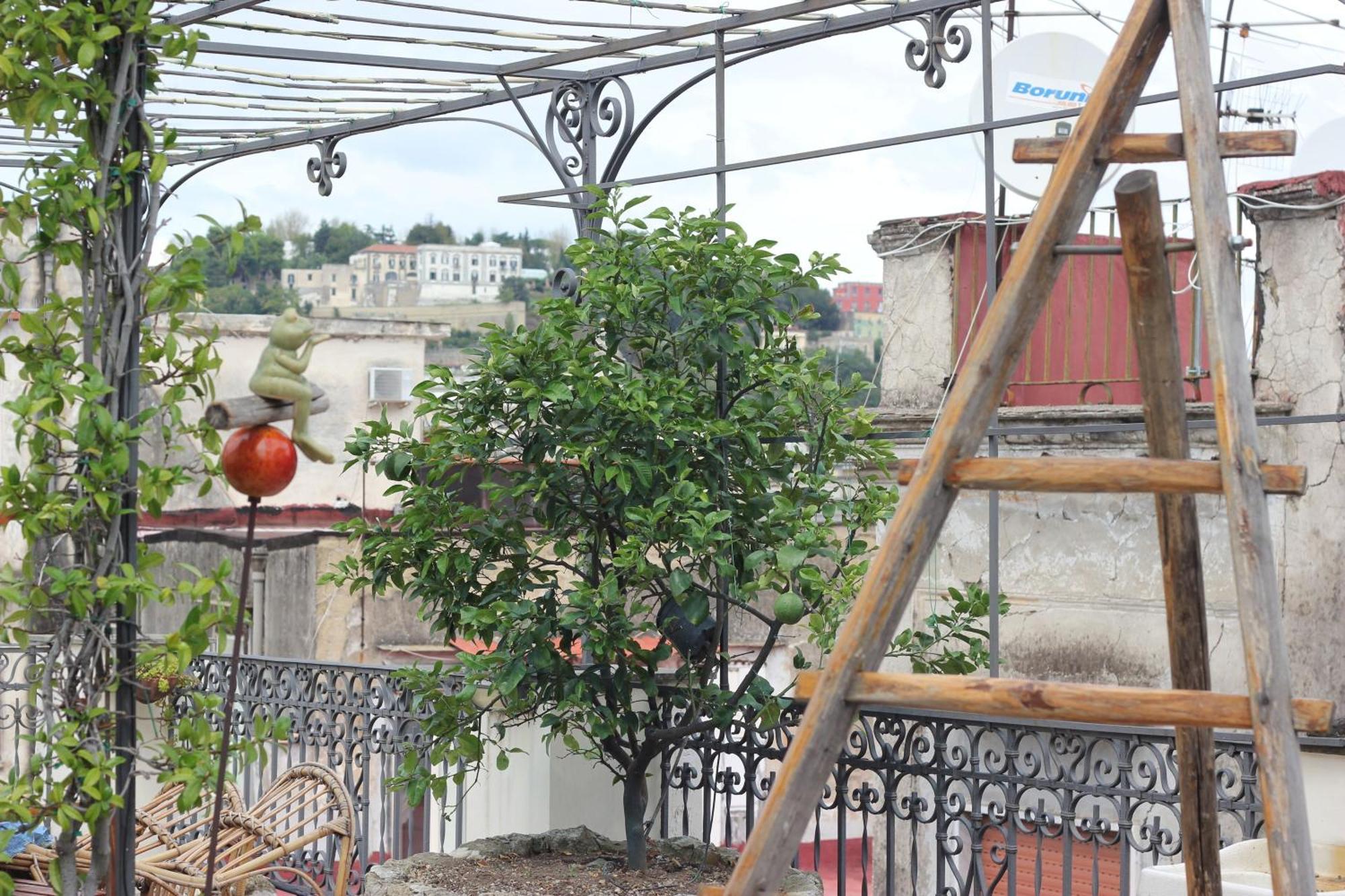 Lemon Tree Terrace Apartment Napoli Exterior foto
